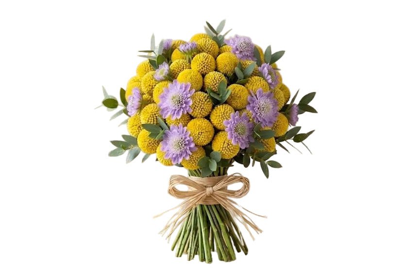 Yellow Craspedia with Scabiosa Modern Bouquet - Florist London