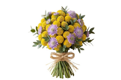 Yellow Craspedia with Scabiosa Modern Bouquet - Florist London