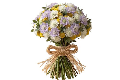 Yellow Craspedia with Scabiosa Modern Bouquet - Florist London