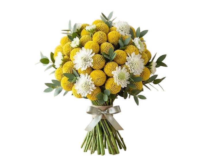 Yellow Craspedia with Scabiosa Modern Bouquet - Florist London