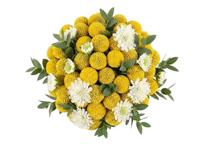 Yellow Craspedia with Scabiosa Modern Bouquet - Florist London