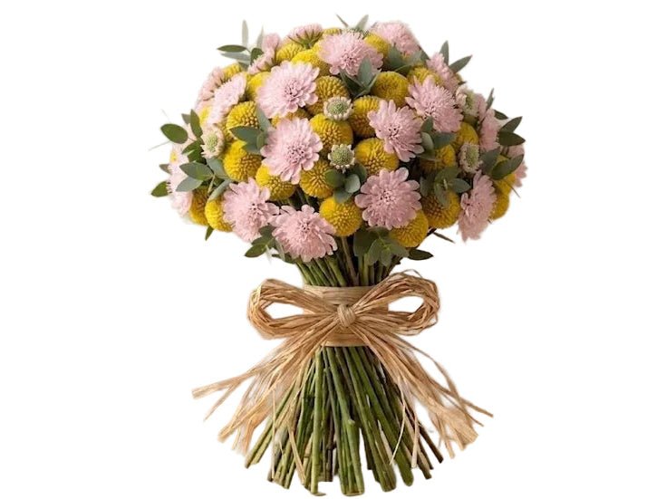Yellow Craspedia with Scabiosa Modern Bouquet - Florist London