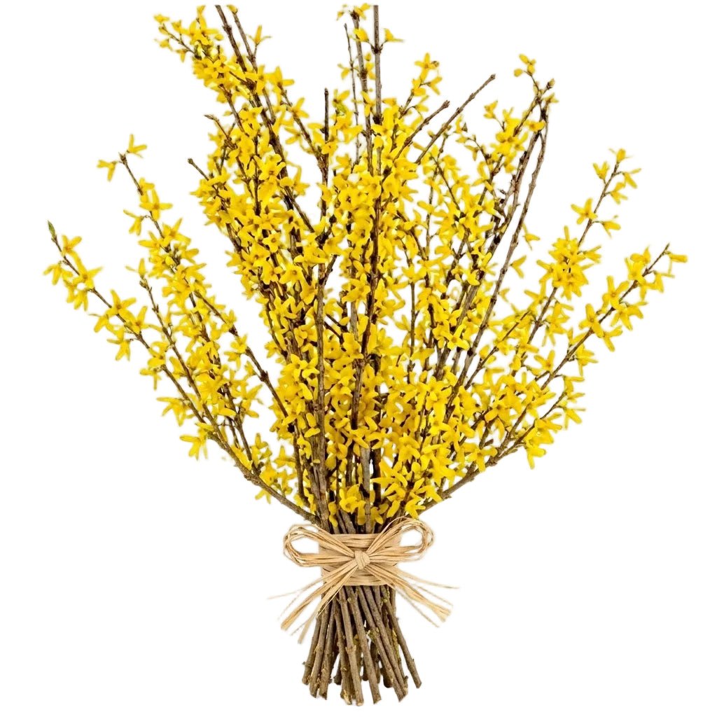 Yellow Forsythia Bouquet - Florist London