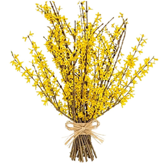 Yellow Forsythia Bouquet - Florist London
