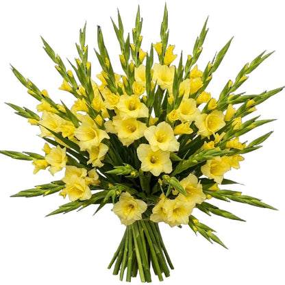 Yellow Gladiolus Bouquet - Florist London