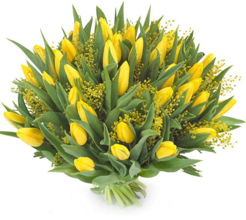 Yellow Tulips with Mimosa Bouquet - Florist London