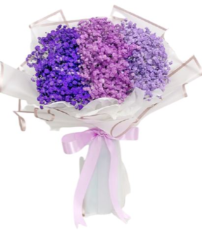 3 Colours of Baby's Breath Bouquet - Florist London