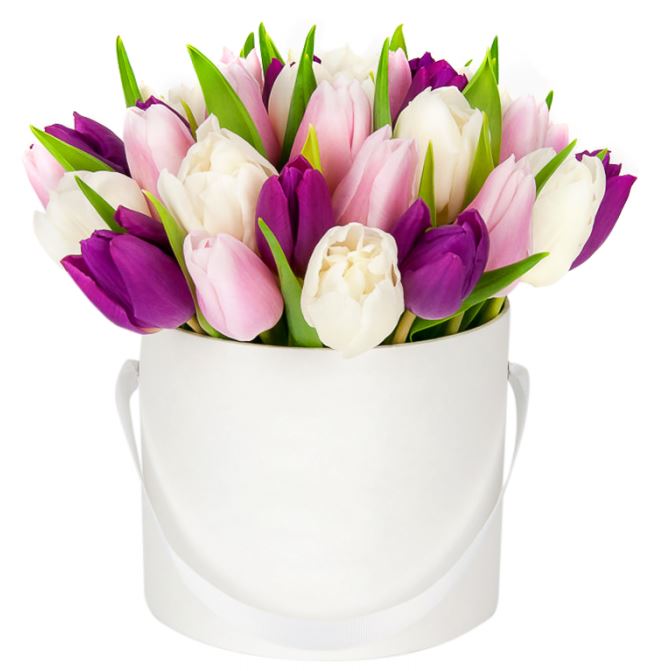 3 Shades of Tulips Box - Florist London