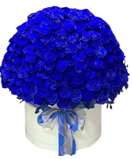Amazing Blue Roses Box - Florist London