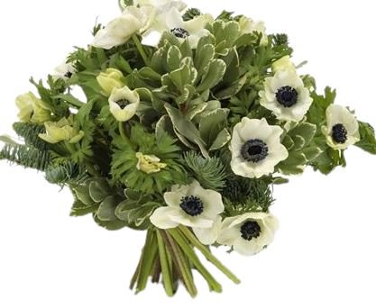 Anemone with Spruce Bouquet - Florist London