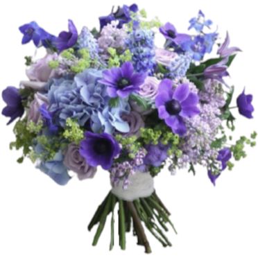 Anemones in Purple - Florist London