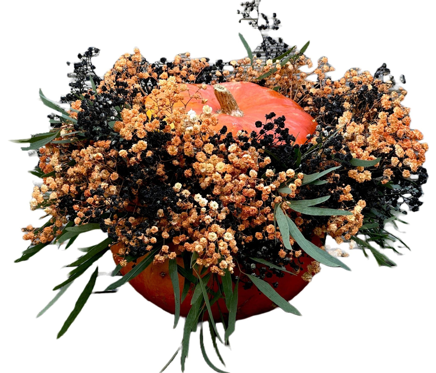 Baby's Breath Flowers in Pumpkin - Florist London
