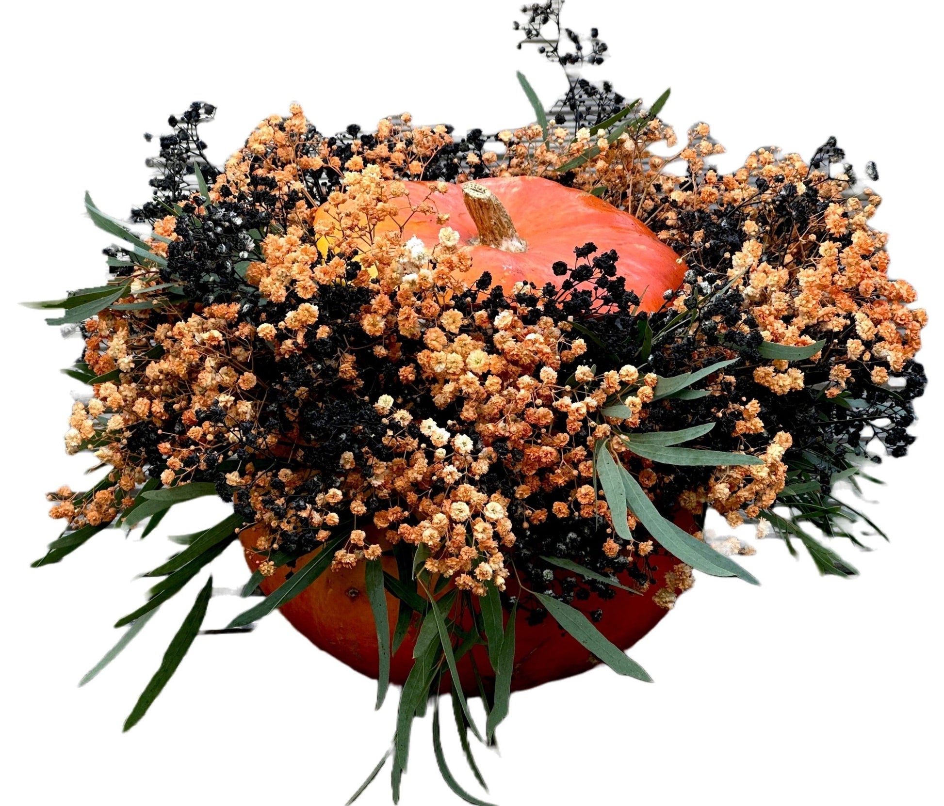 Baby's Breath Flowers in Pumpkin - Florist London