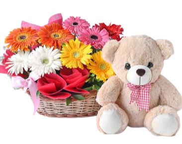 Basket of Gerberas with Teddy