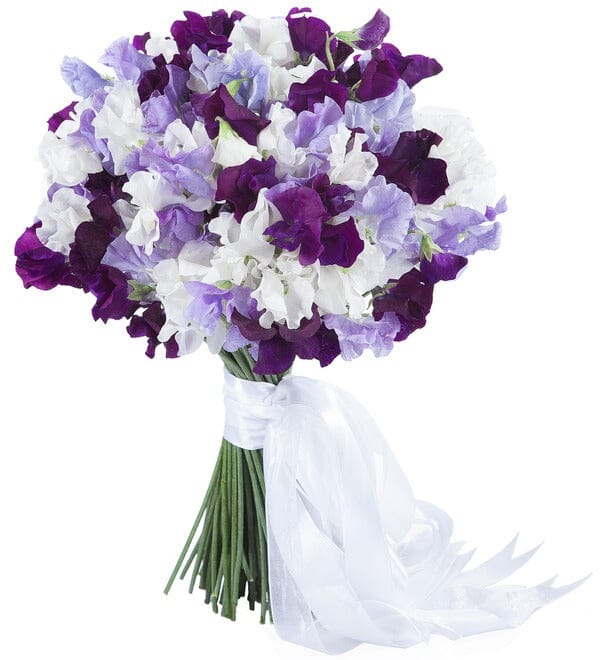 Bit of Purple Sweet Pea Bouquet - Florist London