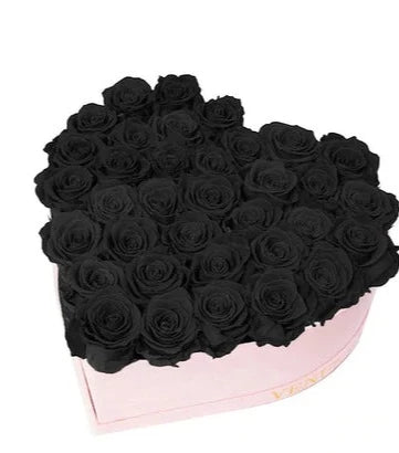 Black Roses Luxury Box - Florist London
