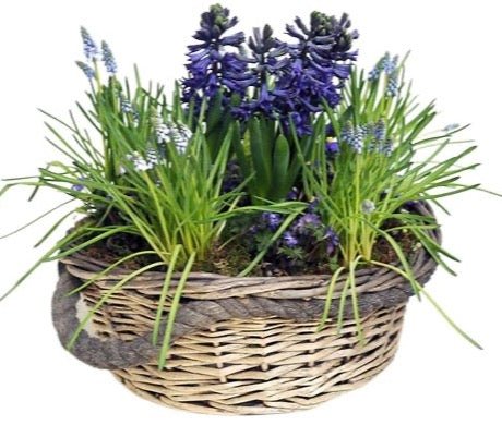 Blue Flowers Basket - Florist London