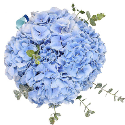Blue Hydrangea with Eucalyptus Box