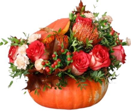 Blush Pumpkin Arrangement - Florist London