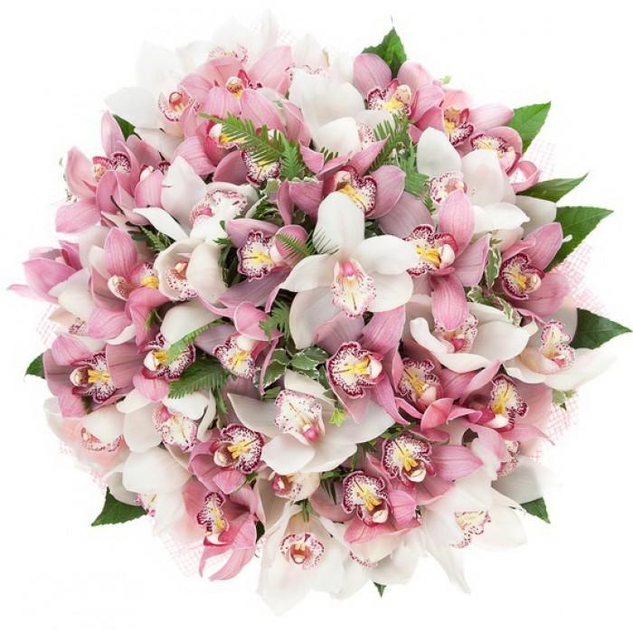 Bouquet of 2 Colors Cymbidium