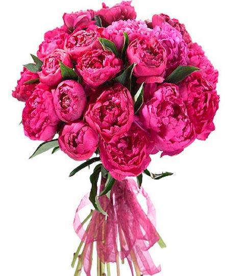 Bouquet of Cerise Peonies - Florist London