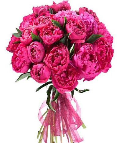 Bouquet of Cerise Peonies - Florist London