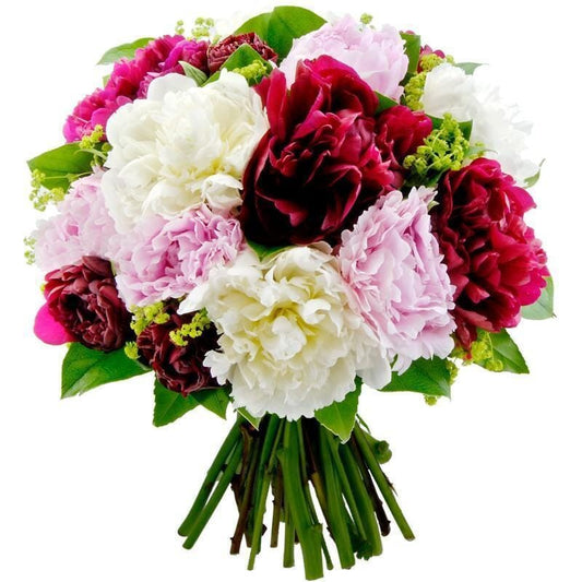 Bouquet of Colorful Peonies