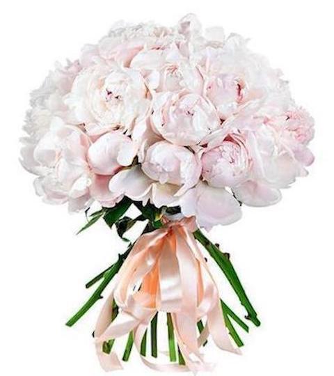 Bouquet of Pale Pink Peonies - Florist London