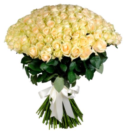 Bouquet of Peach Avalanche Roses