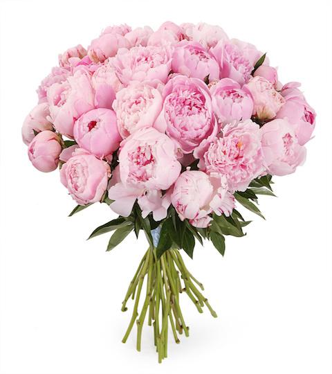 Bouquet of Pink Peonies - Florist London