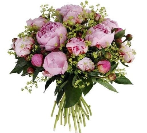 Bouquet of Pink Peonies with Alchemilla - Florist London