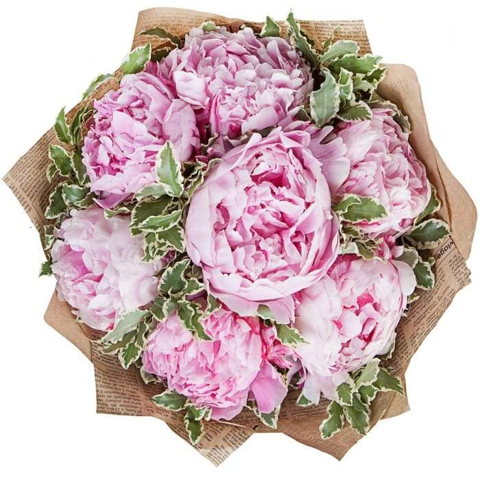 Bouquet of Pink Peonies with Greenery - Florist London