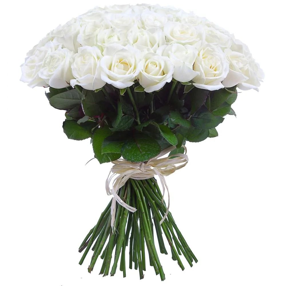 Bouquet of Pure White Roses - Florist London