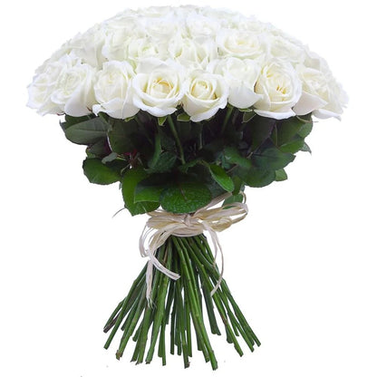Bouquet of Pure White Roses - Florist London