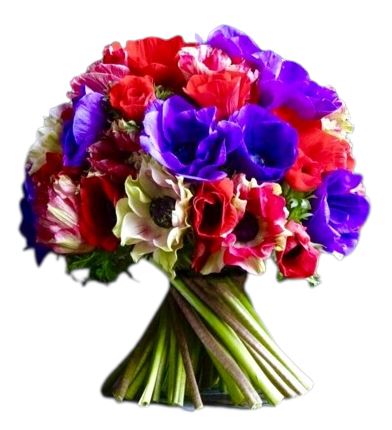 Bouquet of Red and Purple Anemone