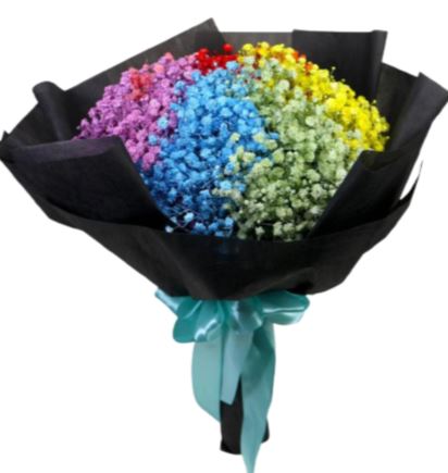 Bouquet of Six Colours Gypsophila - Florist London