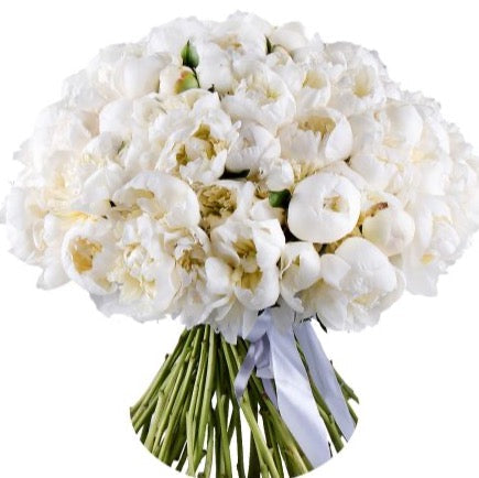 Bouquet of White Peonies
