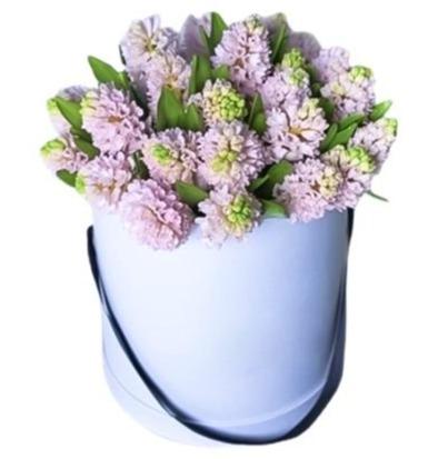Box of Hyacinths - Florist London
