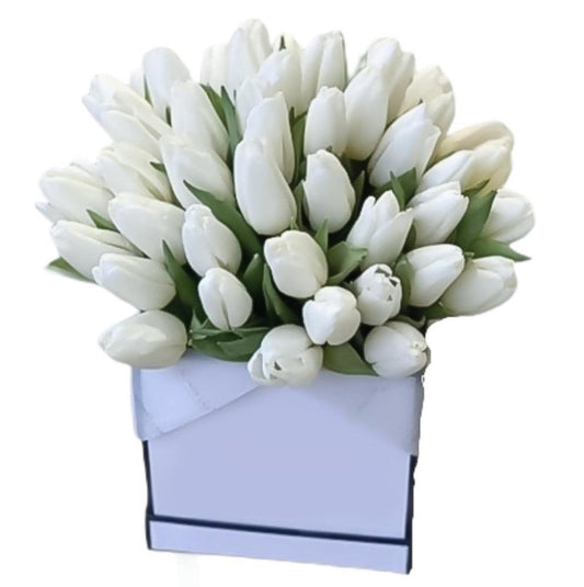 Box of Tulips