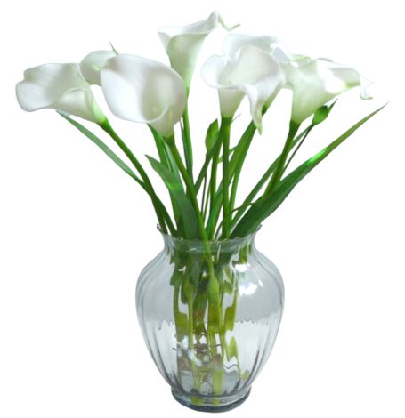 Calla Lily in Vase