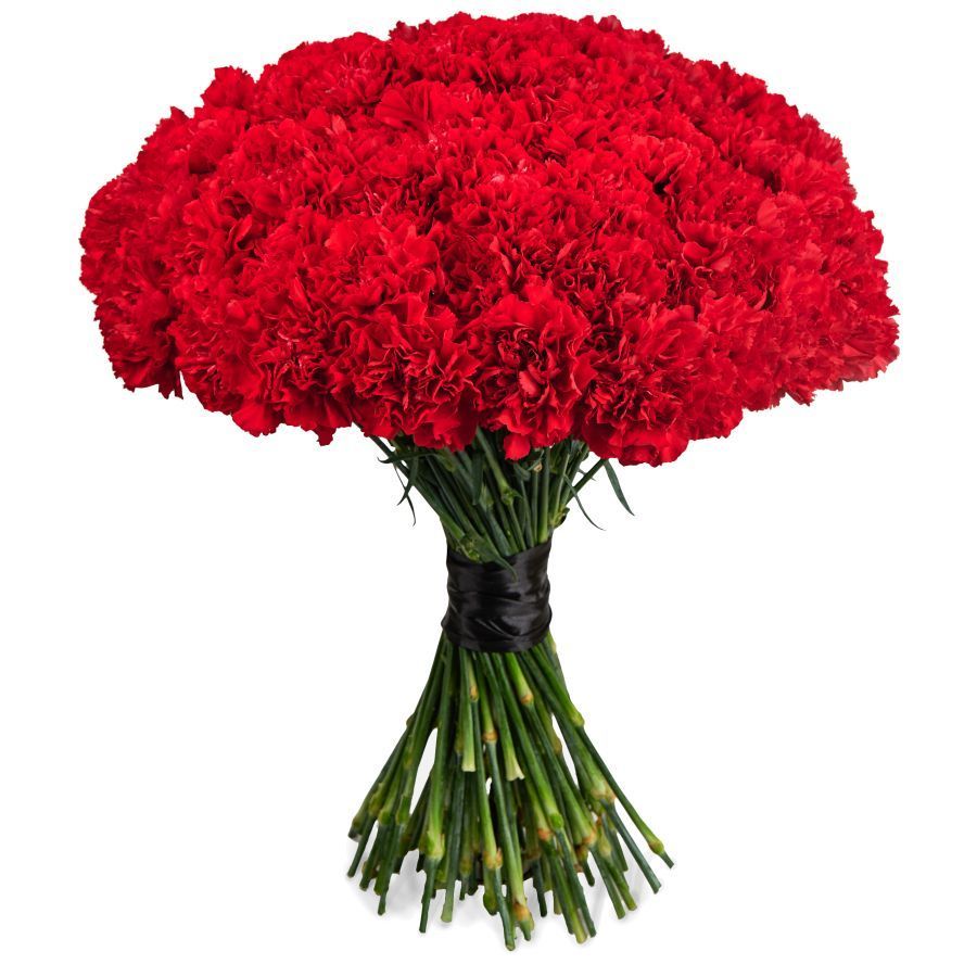 Carnations Bouquet - Florist London