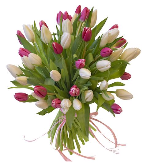 Cerise and White Tulips Bouquet - Florist London