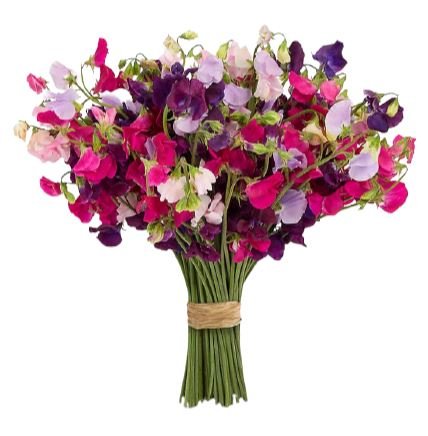 Charming Sweet Pea Bouquet - Florist London