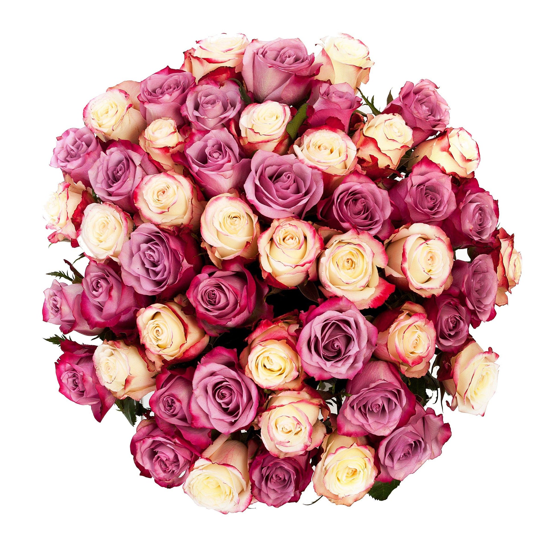 Cherry and Ivory Roses
