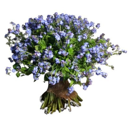 Classic Blue Forget - Me - Not Bouquet - Florist London