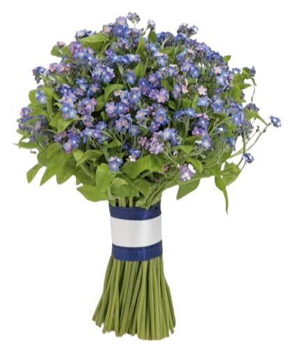 Classic Blue Forget - Me - Not Bouquet - Florist London