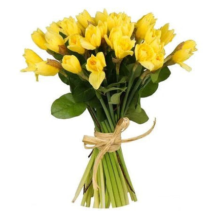 Classic Bouquet of Daffodils - Florist London
