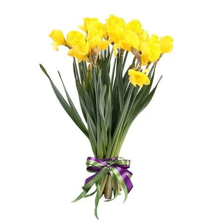 Classic Bouquet of Daffodils - Florist London