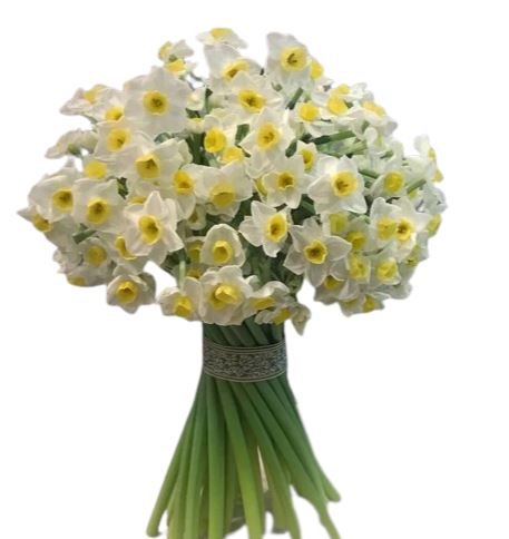 Classic Bouquet of Narcissus - Florist London