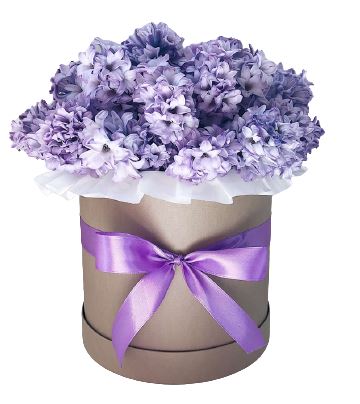 Classic Box of Hyacinths